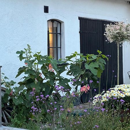 Backadal Gard Bnb イースタッド エクステリア 写真