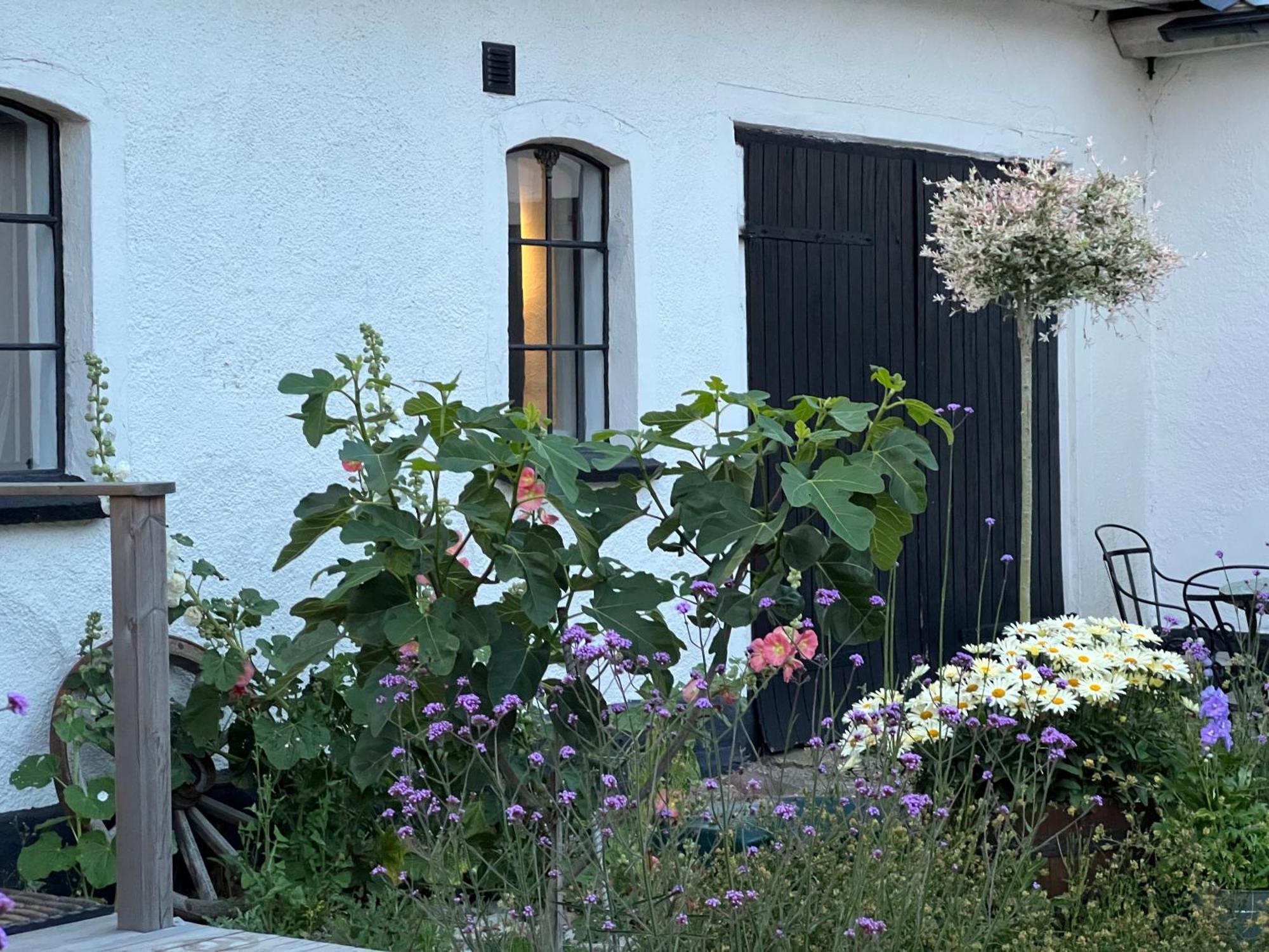 Backadal Gard Bnb イースタッド エクステリア 写真
